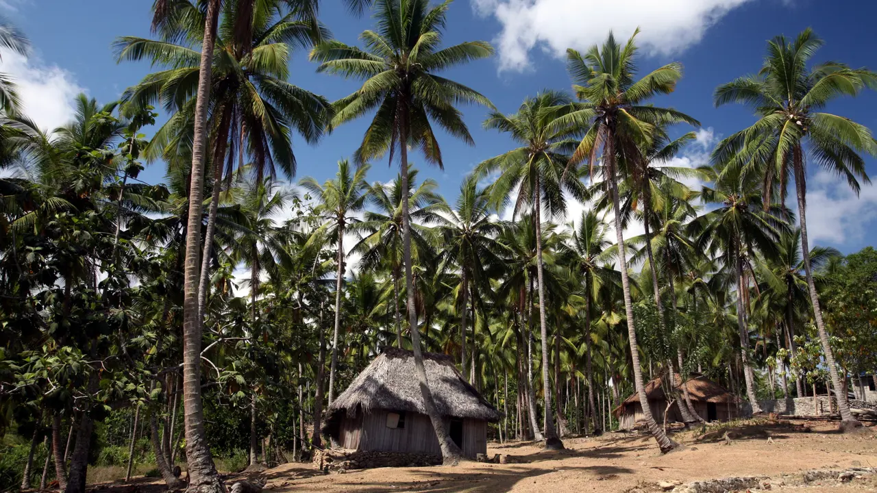 Talanoa 2026: Negotiation